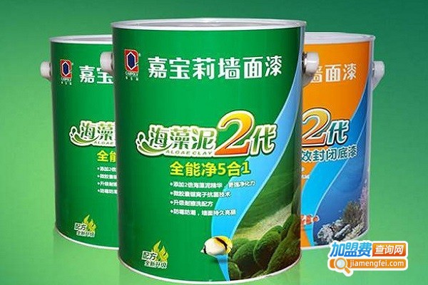 嘉宝莉艺术涂料