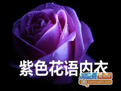 紫色花语内衣加盟费