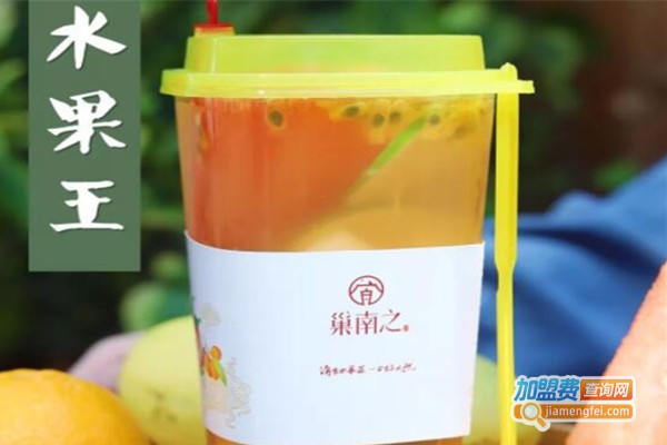 巢南之