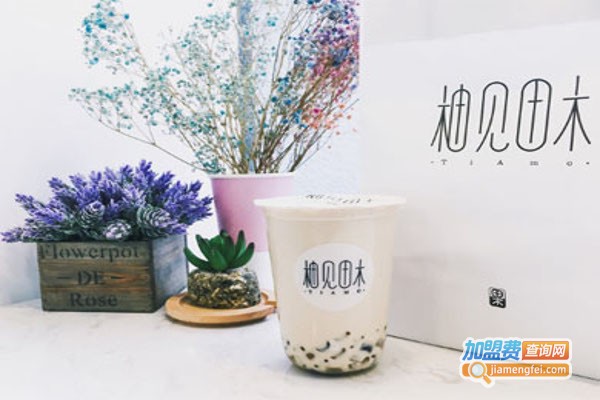 柚见木田加盟费