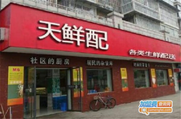 天鲜配生鲜加盟费