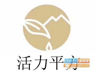 活力平方加盟费