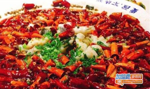 爱酸不吃醋功夫酸菜鱼店