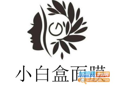 小白盒面膜加盟