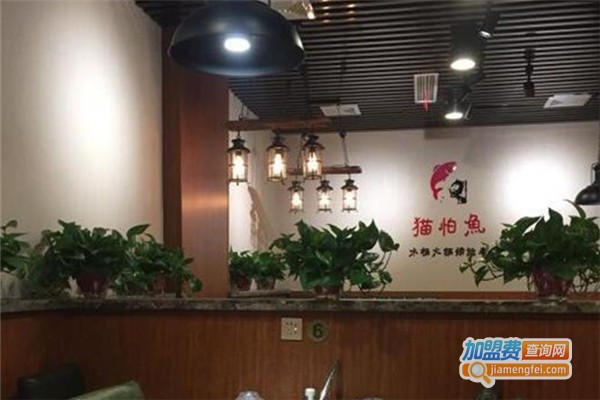 猫怕鱼木桶喷泉火锅加盟_开店加盟猫怕鱼木桶喷泉火锅，一年赚得真多！