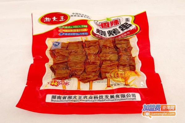 湘大王食品加盟费