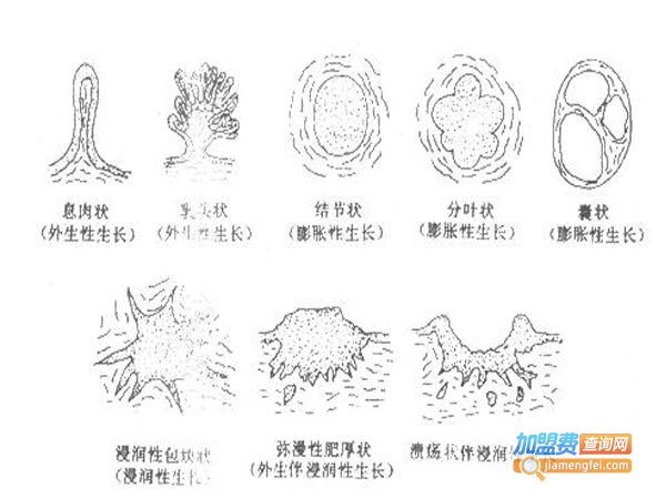 医学教育网