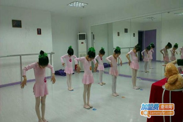 雅蕾舞蹈艺术培训加盟