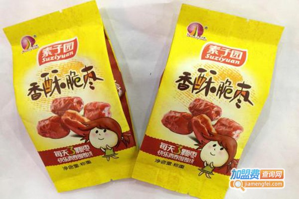 素子园八味休闲食品