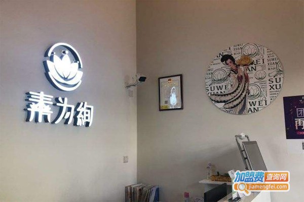 素为绚皮肤护理加盟