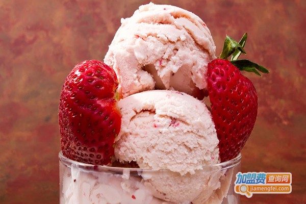 BAIYO酸奶冰淇淋加盟门店