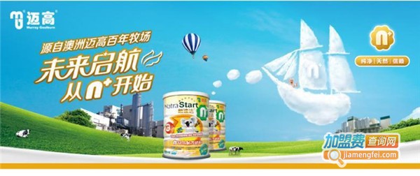 迈高乳业