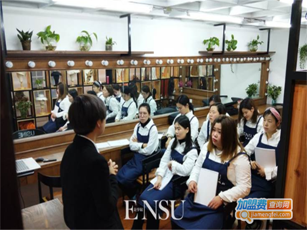 ENSU美学教育加盟