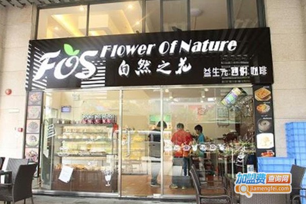 自然之花果糖加盟