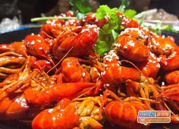 煌飛红小龙虾