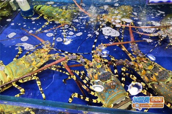东江鸿星海鲜酒家