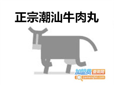 正宗潮汕牛肉丸