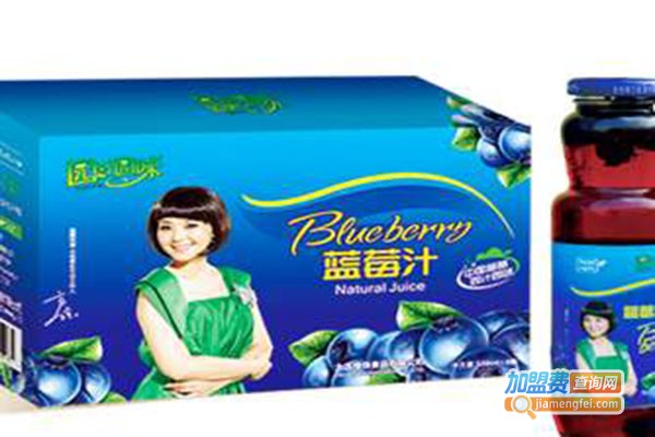园汁园味饮品加盟