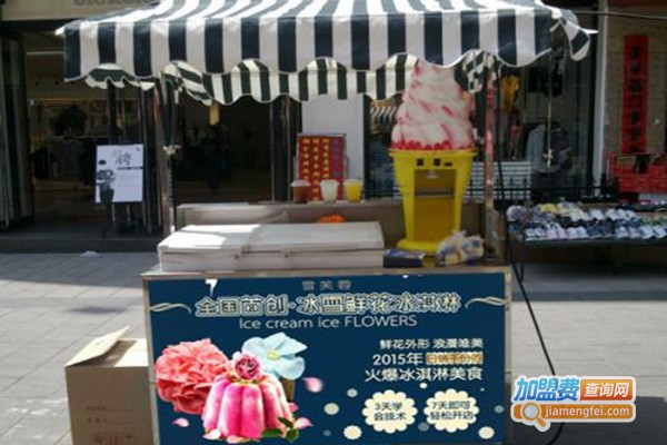 雪芙蓉冰车加盟