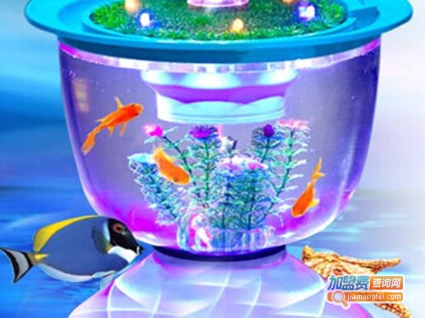 创意水族馆加盟门店