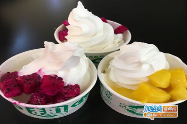 趣呦冻酸奶加盟