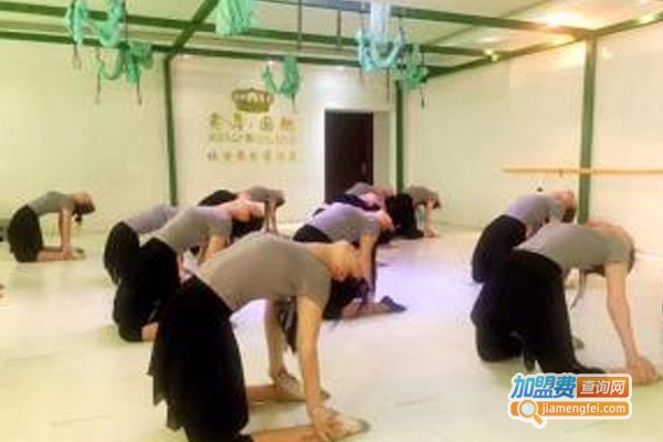 鑫舞国际瑜伽培训