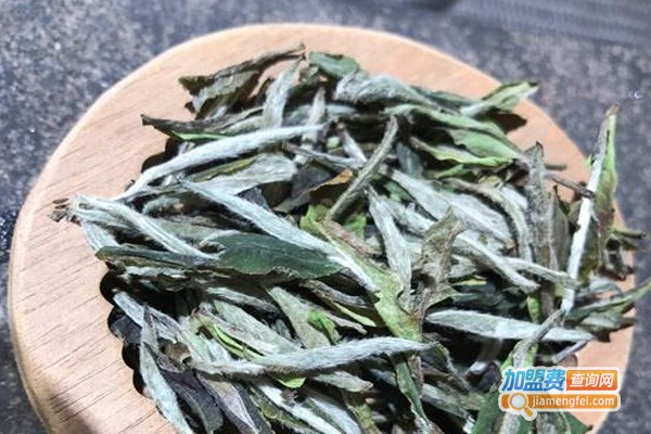 仙云壹号白茶加盟