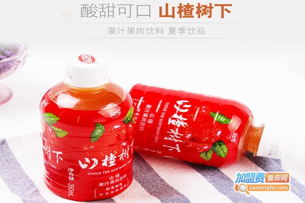 山楂树下饮料加盟费