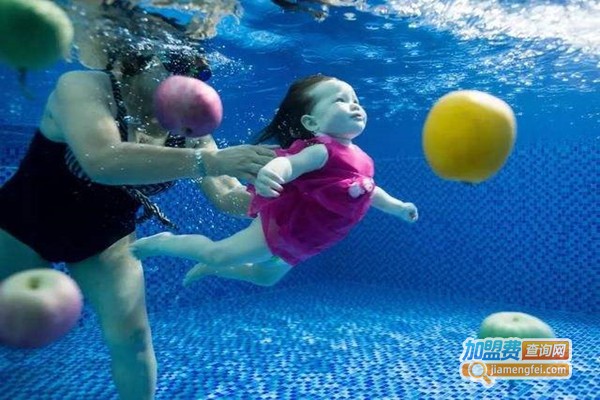 爱儿乐幼儿游泳加盟费