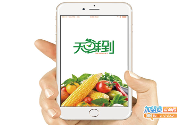 天鲜到加盟费