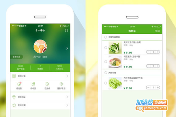 天鲜到加盟费