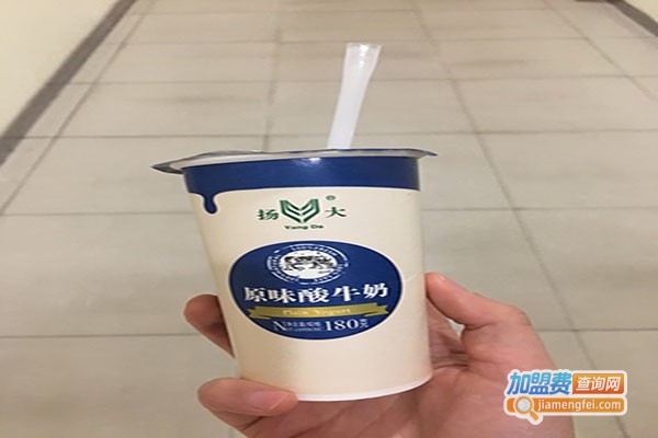 扬大酸奶