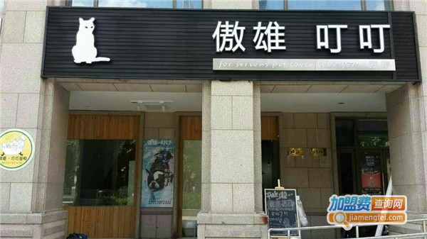 傲雄叮叮宠物店加盟费