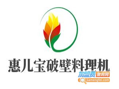 惠儿宝破壁料理机加盟费