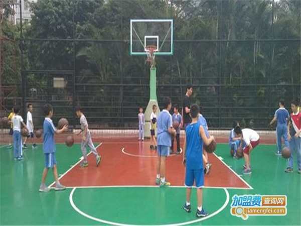 飞翔篮球训练营加盟