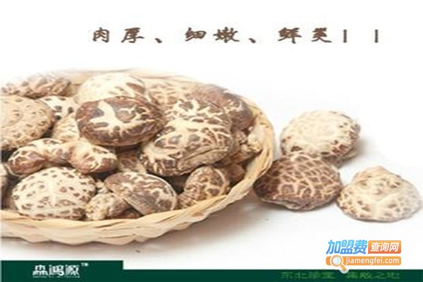 山宝食用菌加盟费