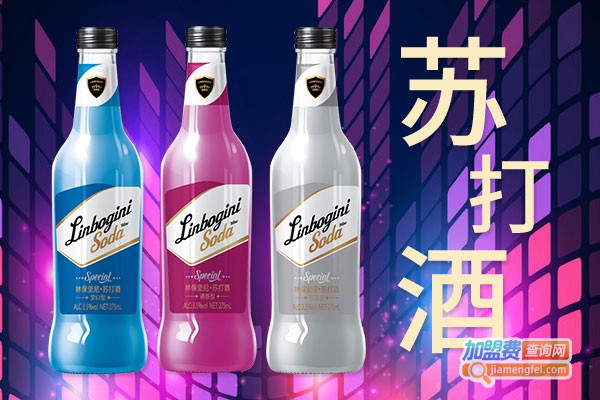 嗨舞奶味苏打酒加盟费