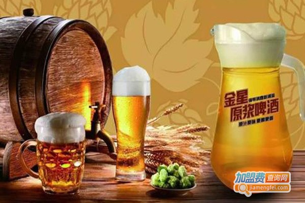 金星原浆啤酒加盟费