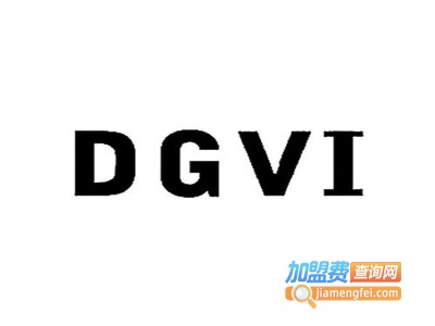 dgvi品牌女装折扣店