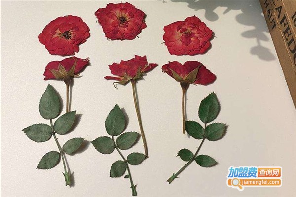 易控押花DIY