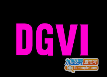 dgvi女装加盟费