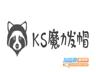 KS魔力发帽加盟费