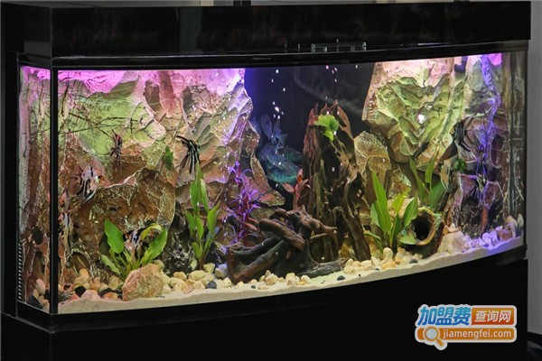 五星水族用品