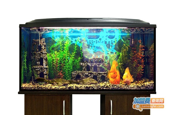 五星水族用品
