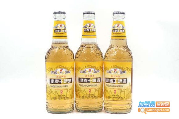 鼎力啤酒加盟费