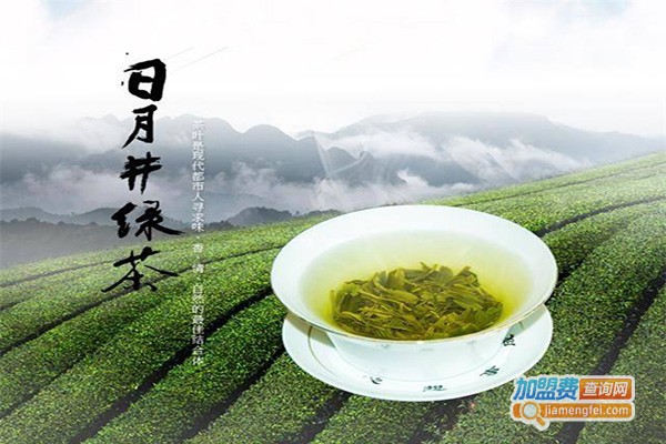 好井茶加盟费