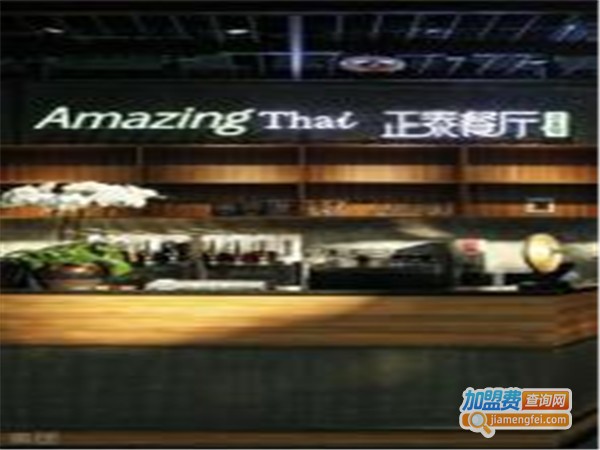 正泰Amazingthai
