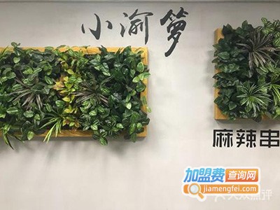 小渝箩加盟费