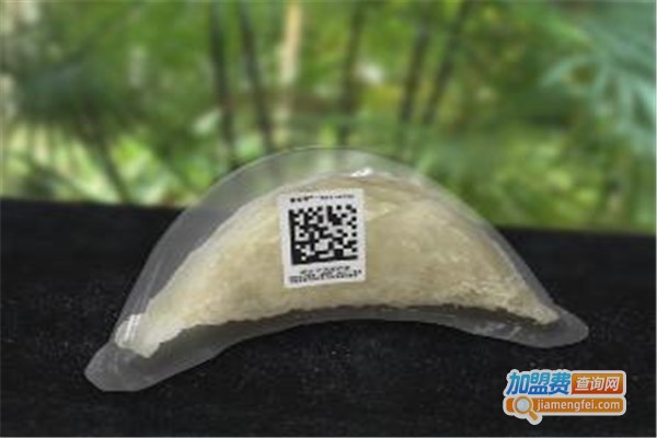 大马记忆加盟