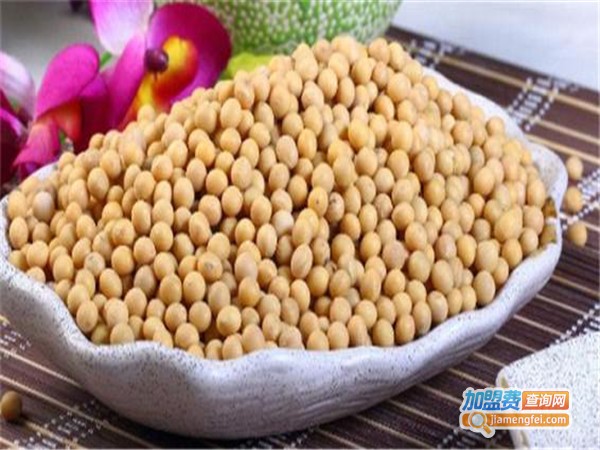 YANZI燕子豆制品